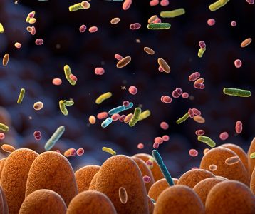 Bacteriocinas são peptídeos antimicrobianos