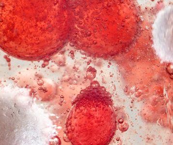 Impactar a microbiota intestinal